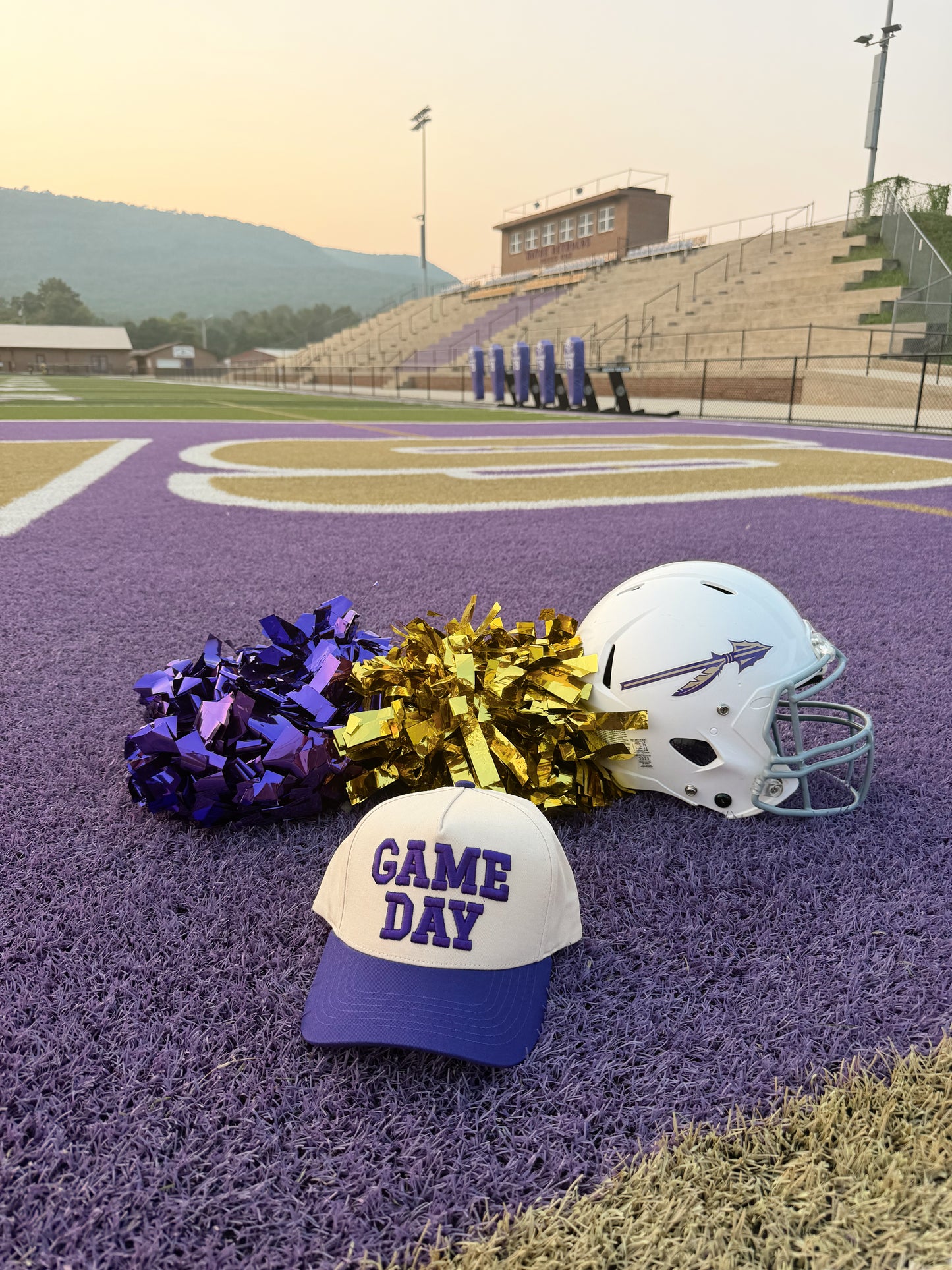 Purple Game Day Hat