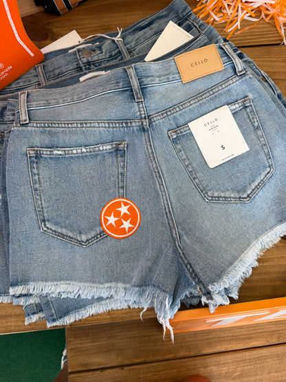 TN embroidered denim shorts