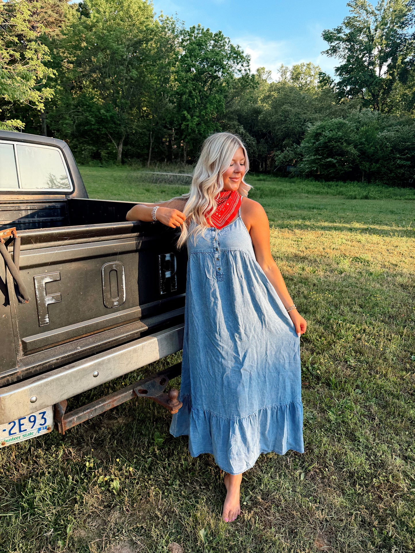 Country Charm Chambray Dress