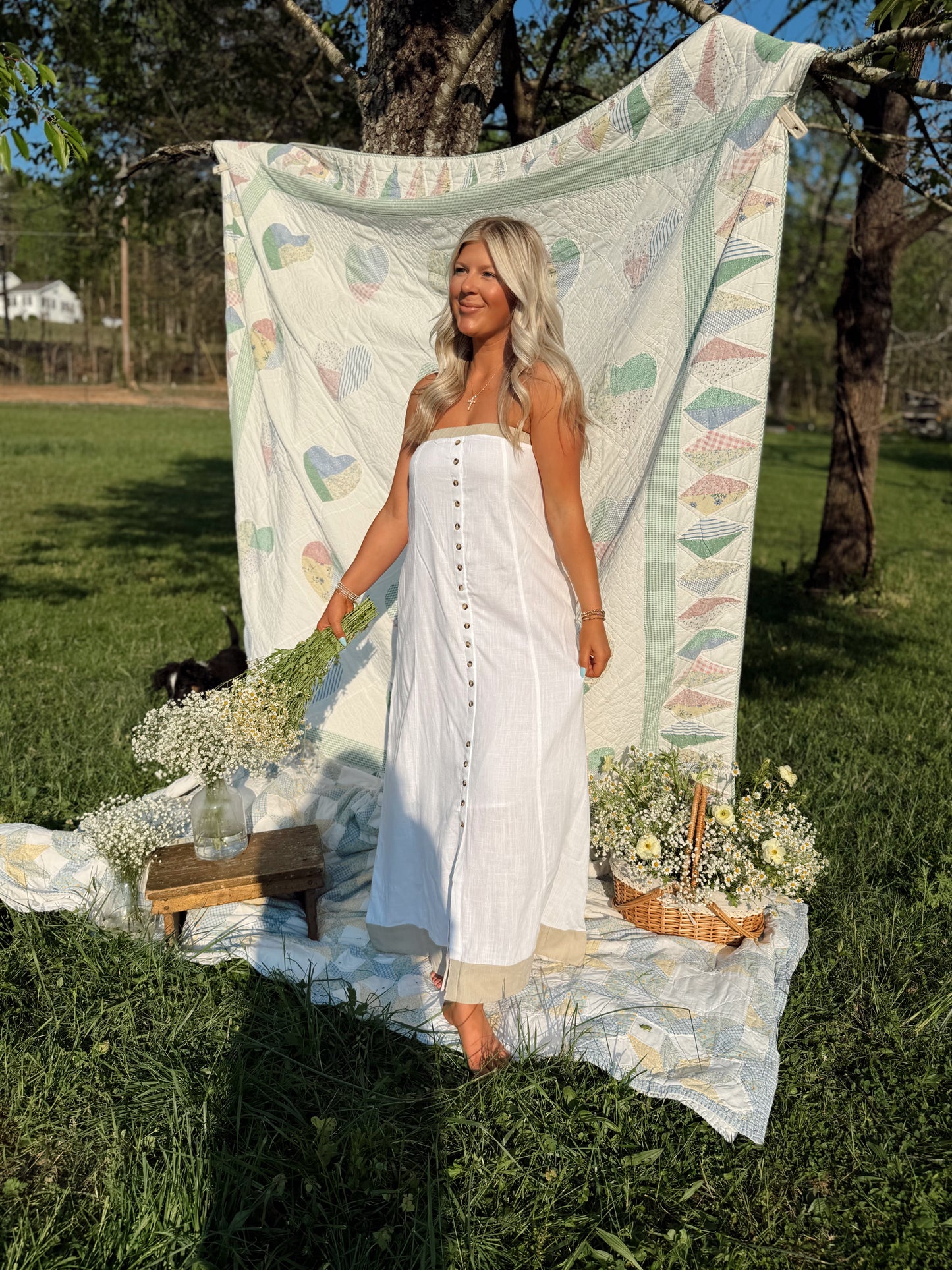 Country Linen Button Maxi